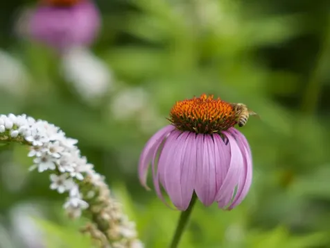 13 Butler Drive South Burlington VT 05403