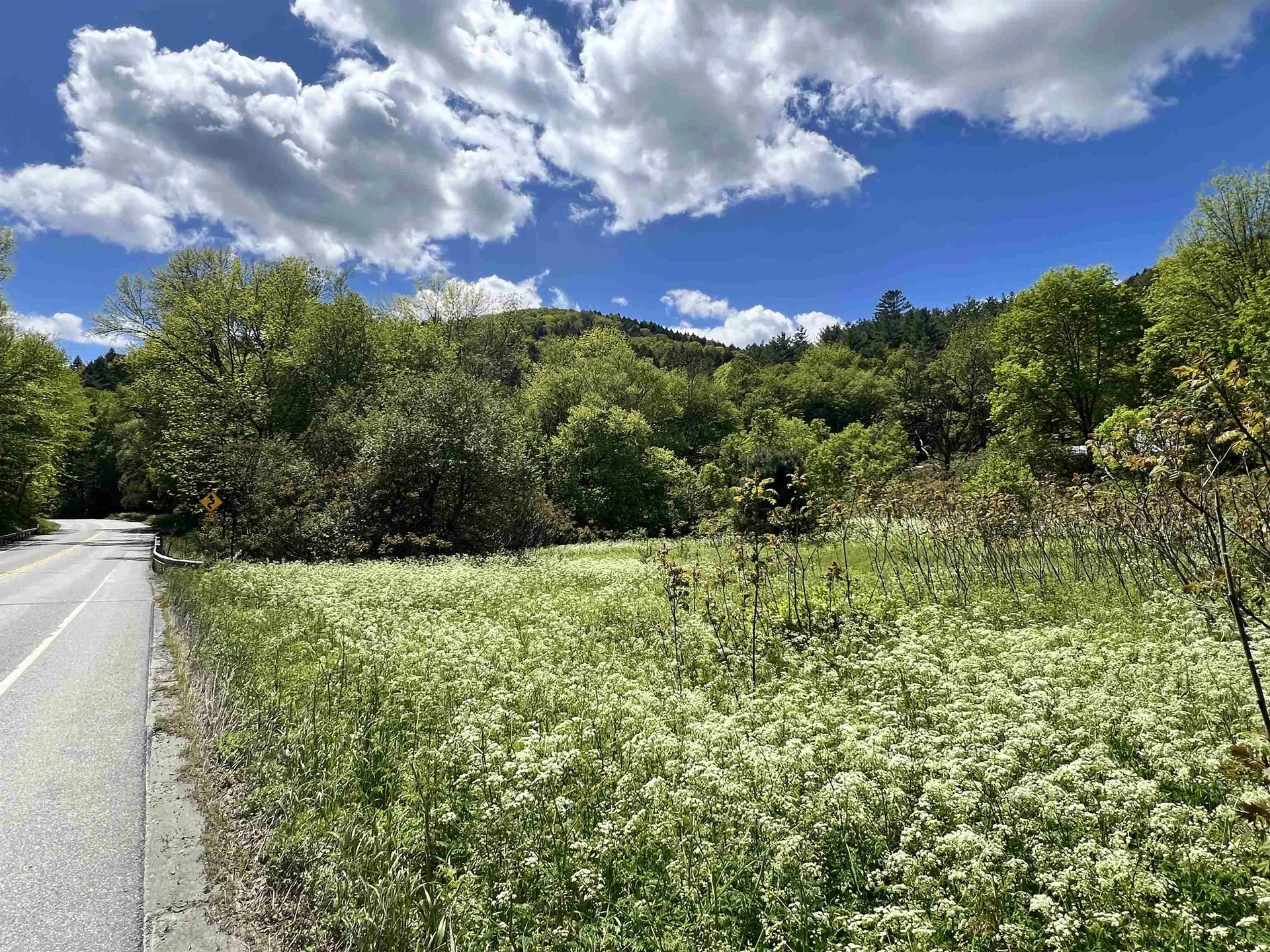 44 Watershed Road Bethel VT 05032