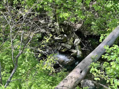 44 Watershed Road Bethel VT 05032