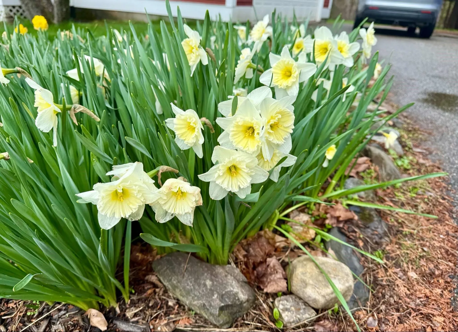 421 Farmer Drive St. Johnsbury VT 05819