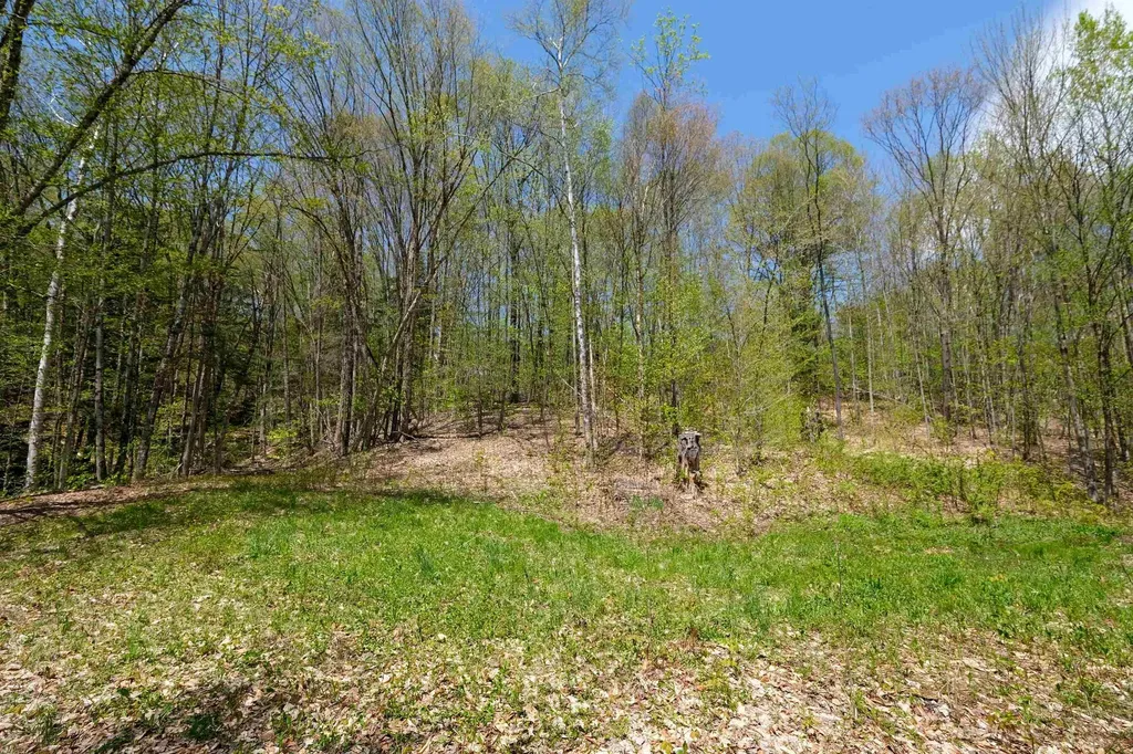 00 Dublin Road Plymouth VT 05758