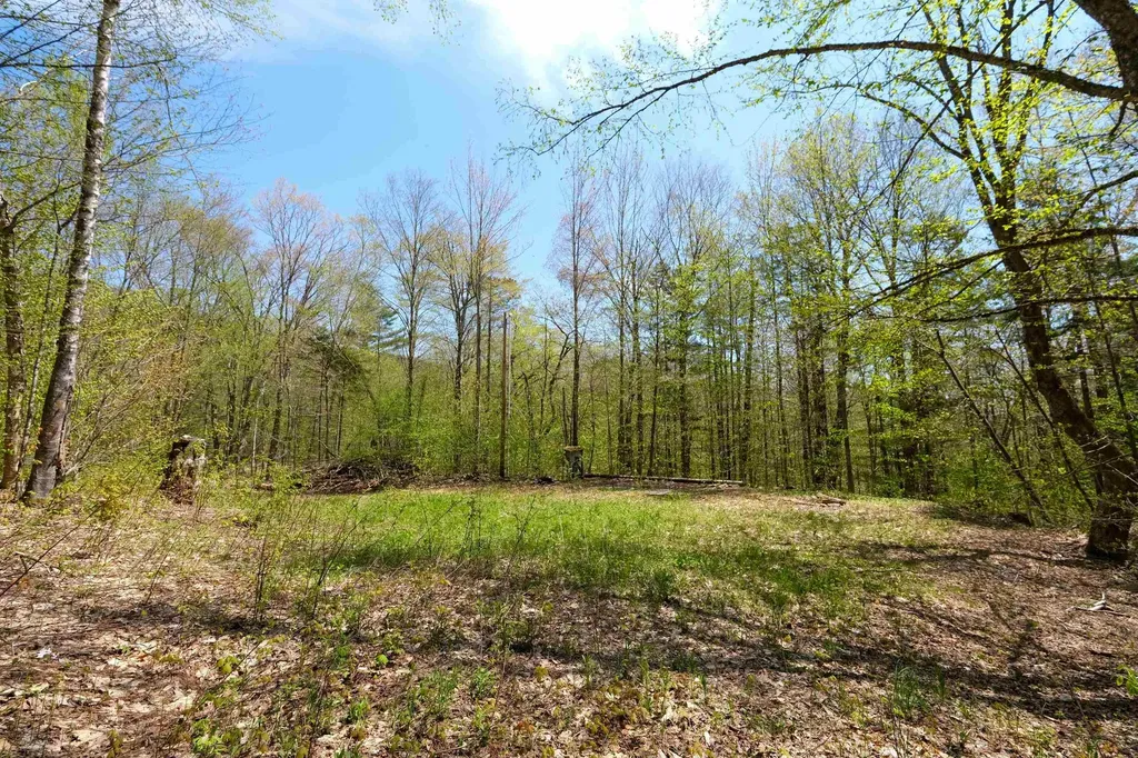 00 Dublin Road Plymouth VT 05758