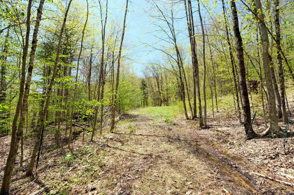 00 Dublin Road Plymouth VT 05758