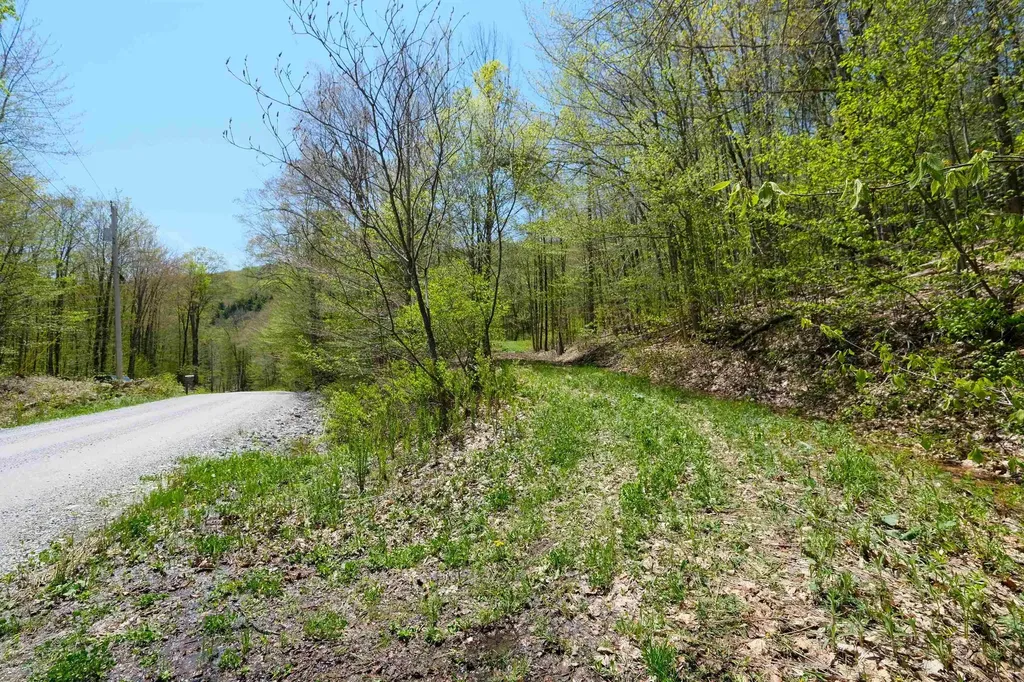 00 Dublin Road Plymouth VT 05758