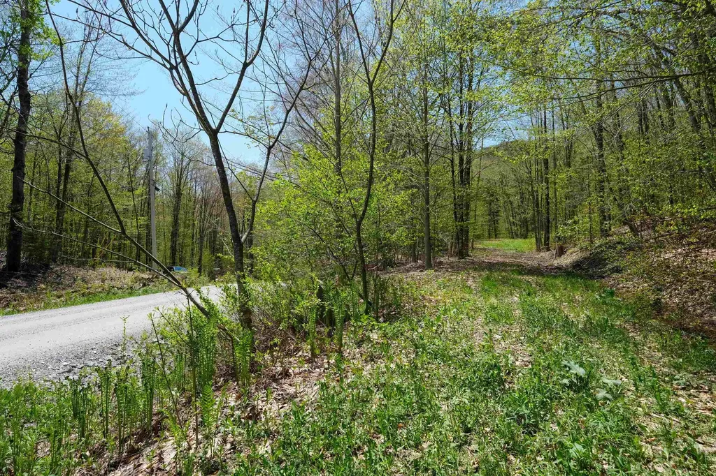 00 Dublin Road Plymouth VT 05758