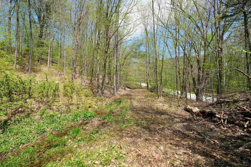 00 Dublin Road Plymouth VT 05758