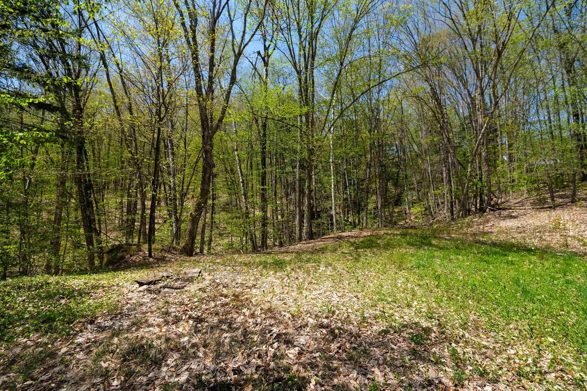 00 Dublin Road Plymouth VT 05758