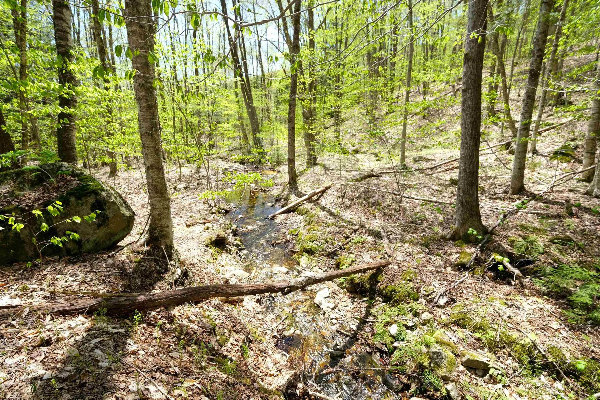 00 Dublin Road Plymouth VT 05758