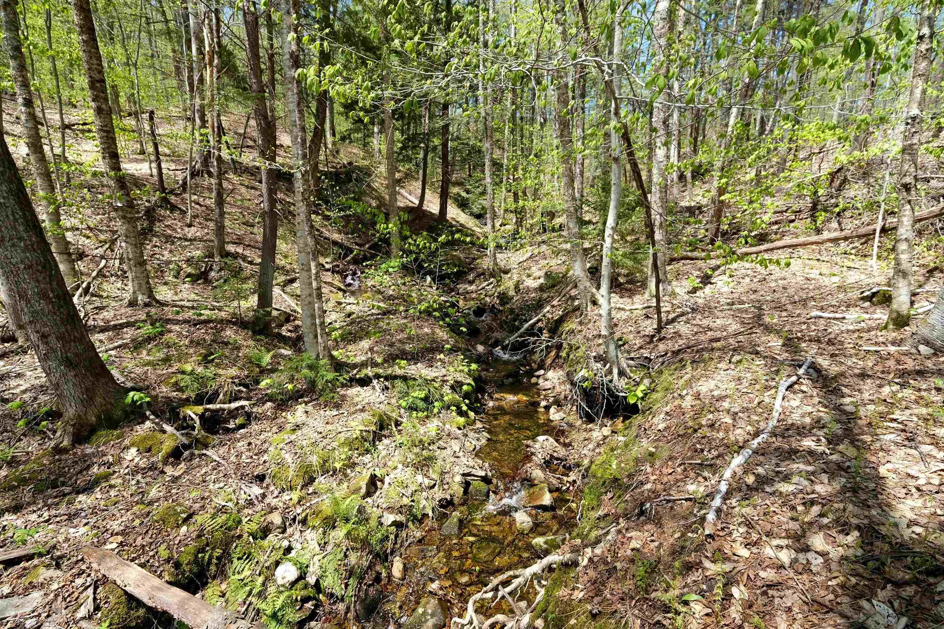 00 Dublin Road Plymouth VT 05758