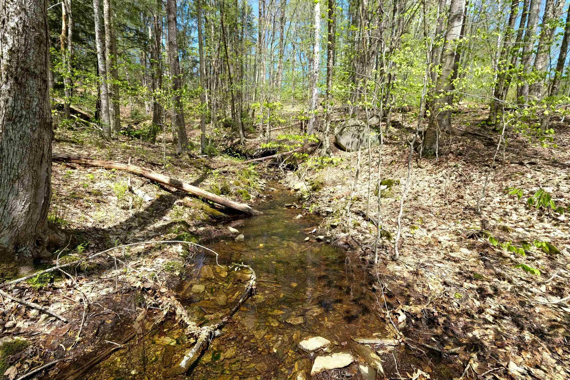 00 Dublin Road Plymouth VT 05758