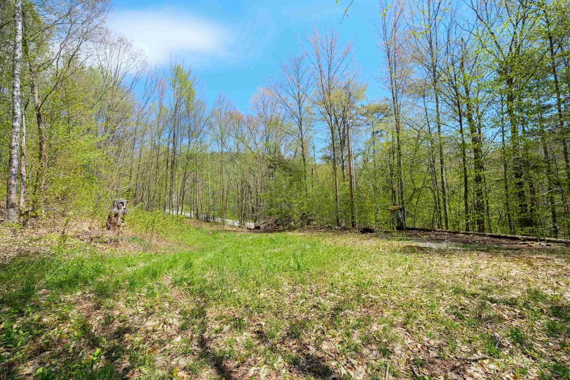 00 Dublin Road Plymouth VT 05758