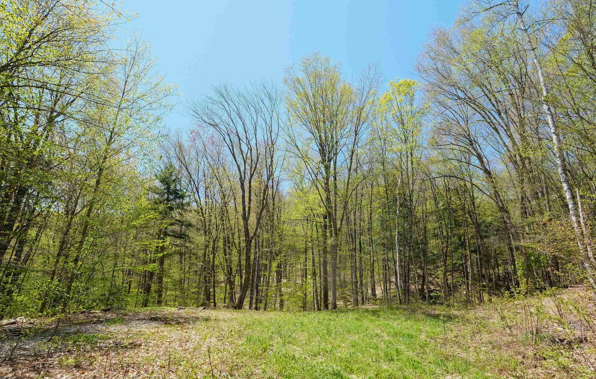 00 Dublin Road Plymouth VT 05758