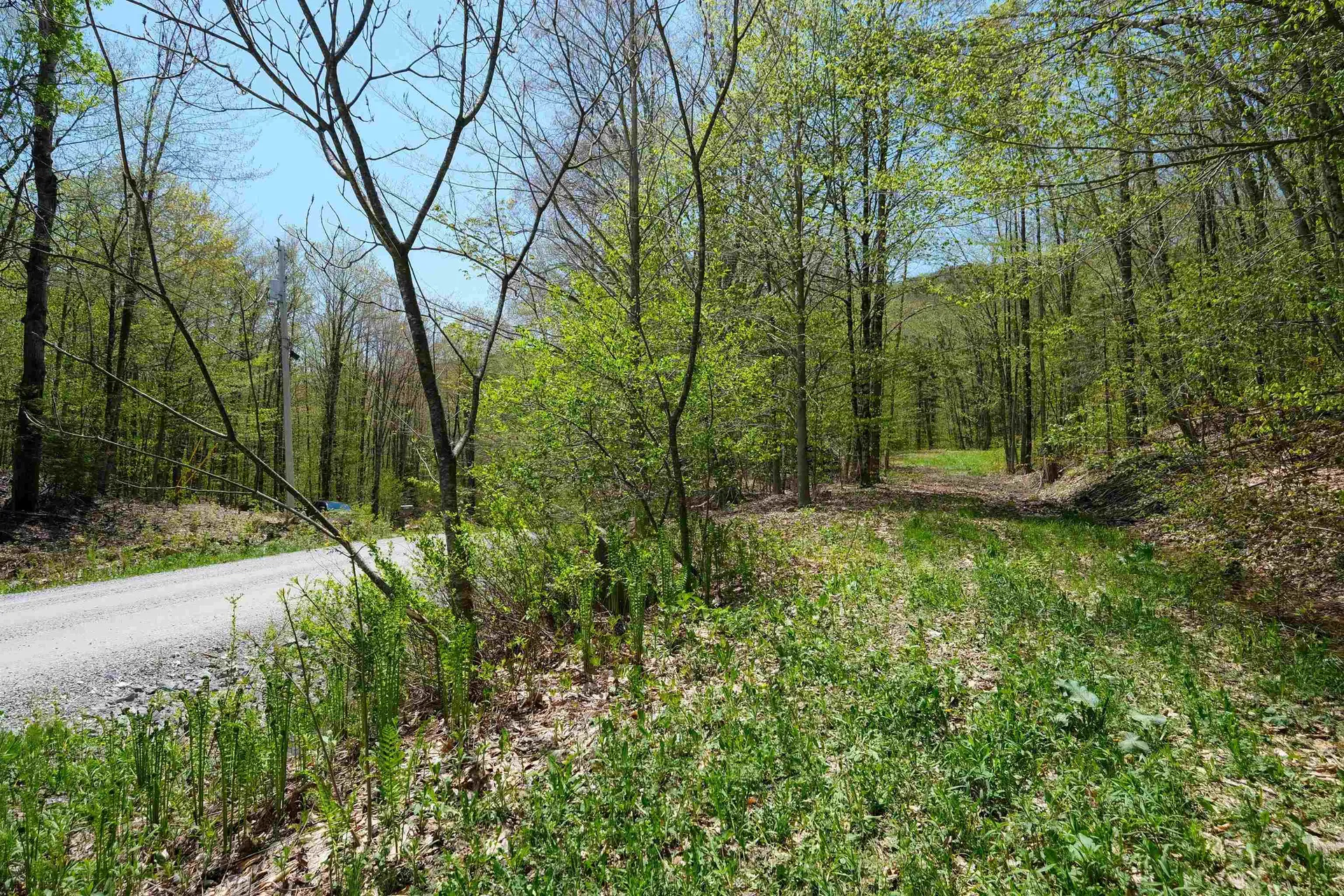 00 Dublin Road Plymouth VT 05758