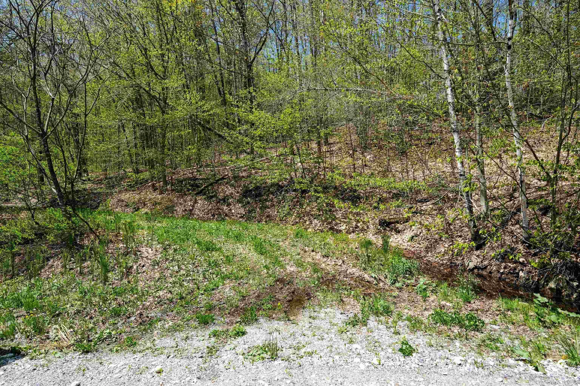 00 Dublin Road Plymouth VT 05758