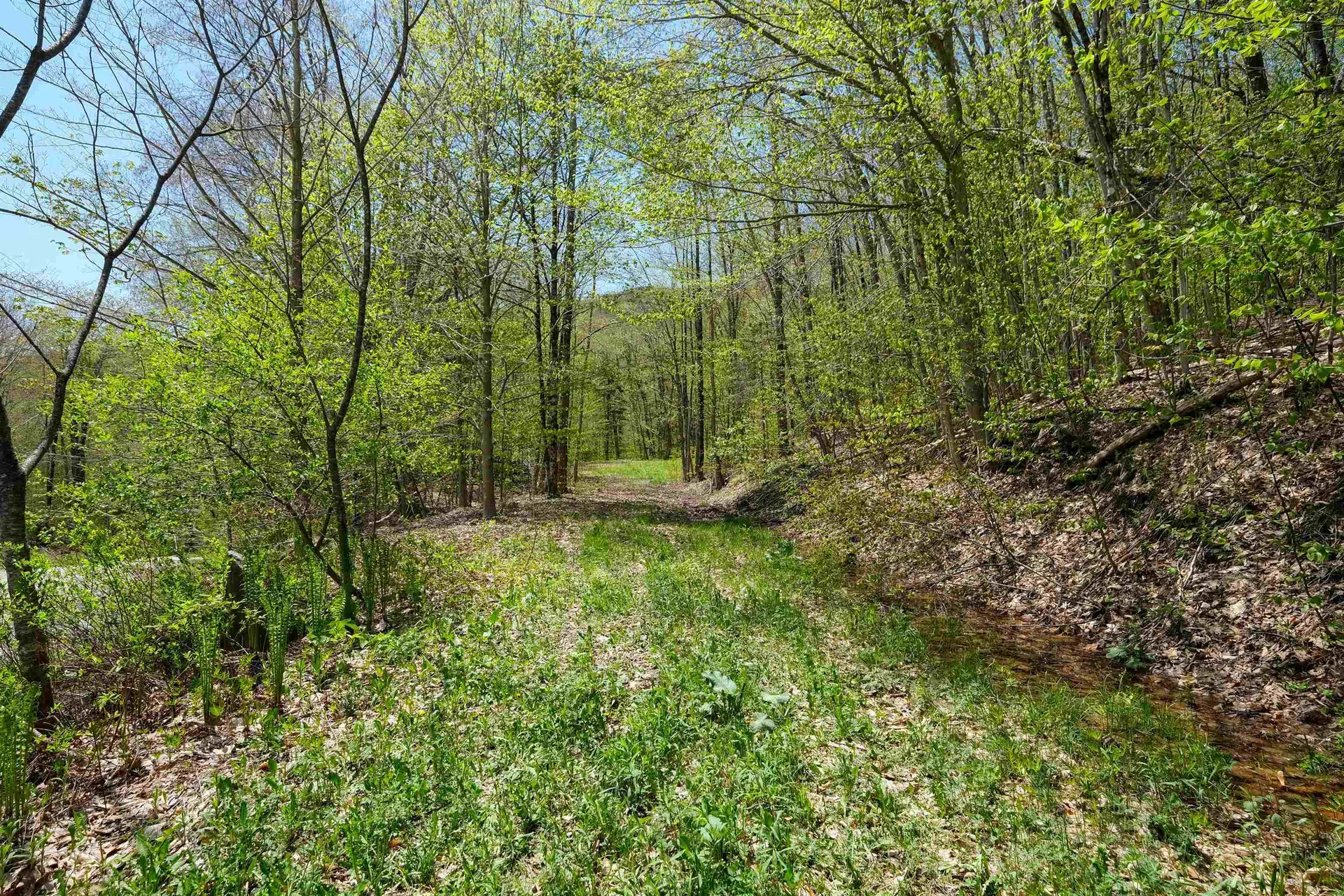 00 Dublin Road Plymouth VT 05758