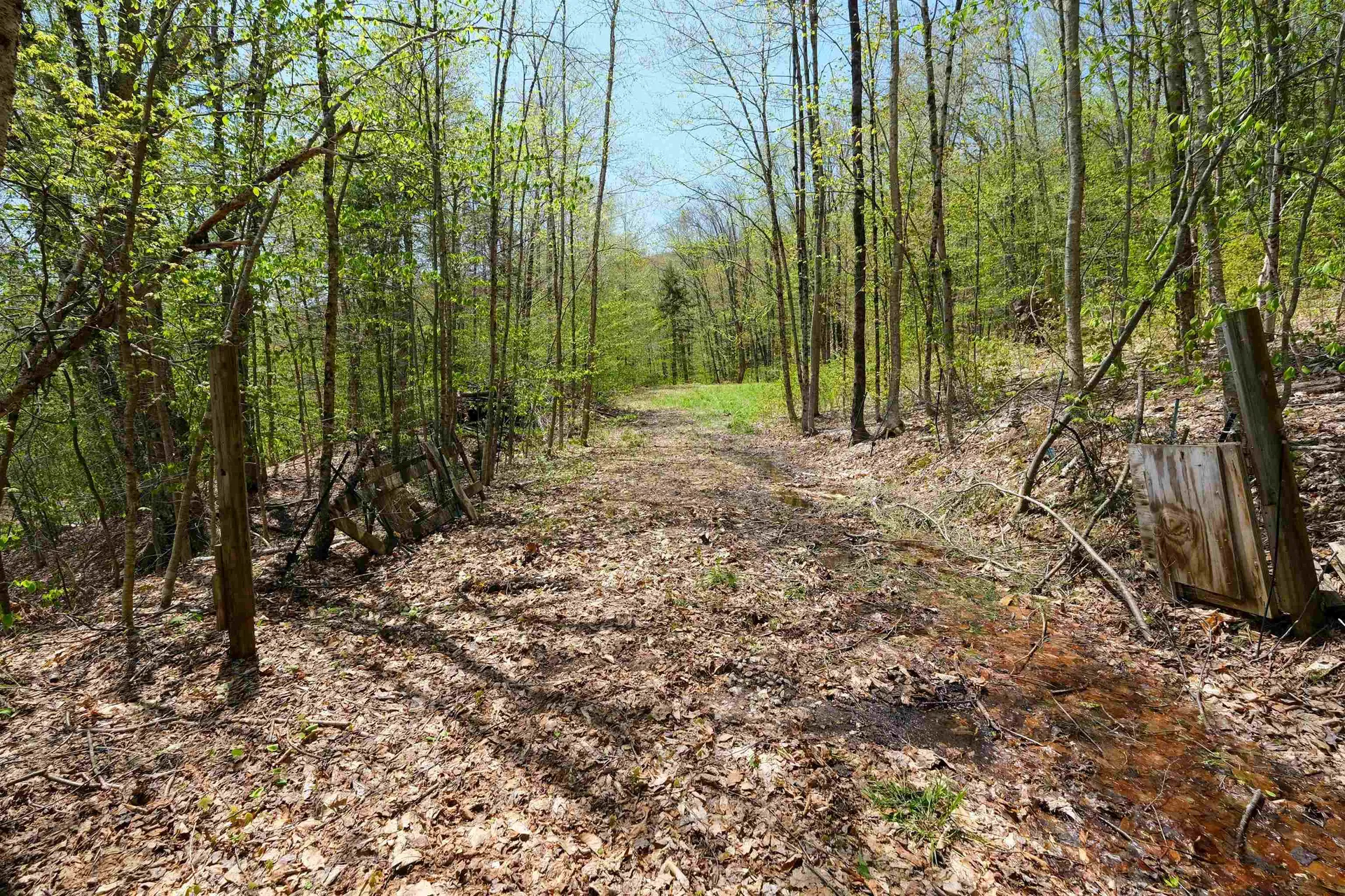 00 Dublin Road Plymouth VT 05758