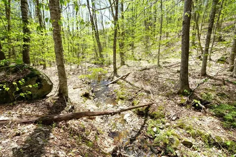 00 Dublin Road Plymouth VT 05758