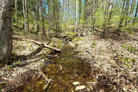 00 Dublin Road Plymouth VT 05758