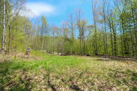 00 Dublin Road Plymouth VT 05758