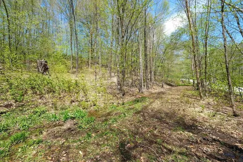 00 Dublin Road Plymouth VT 05758