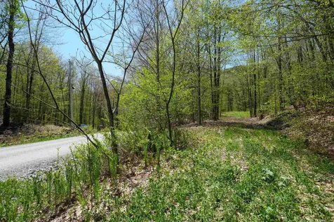 00 Dublin Road Plymouth VT 05758