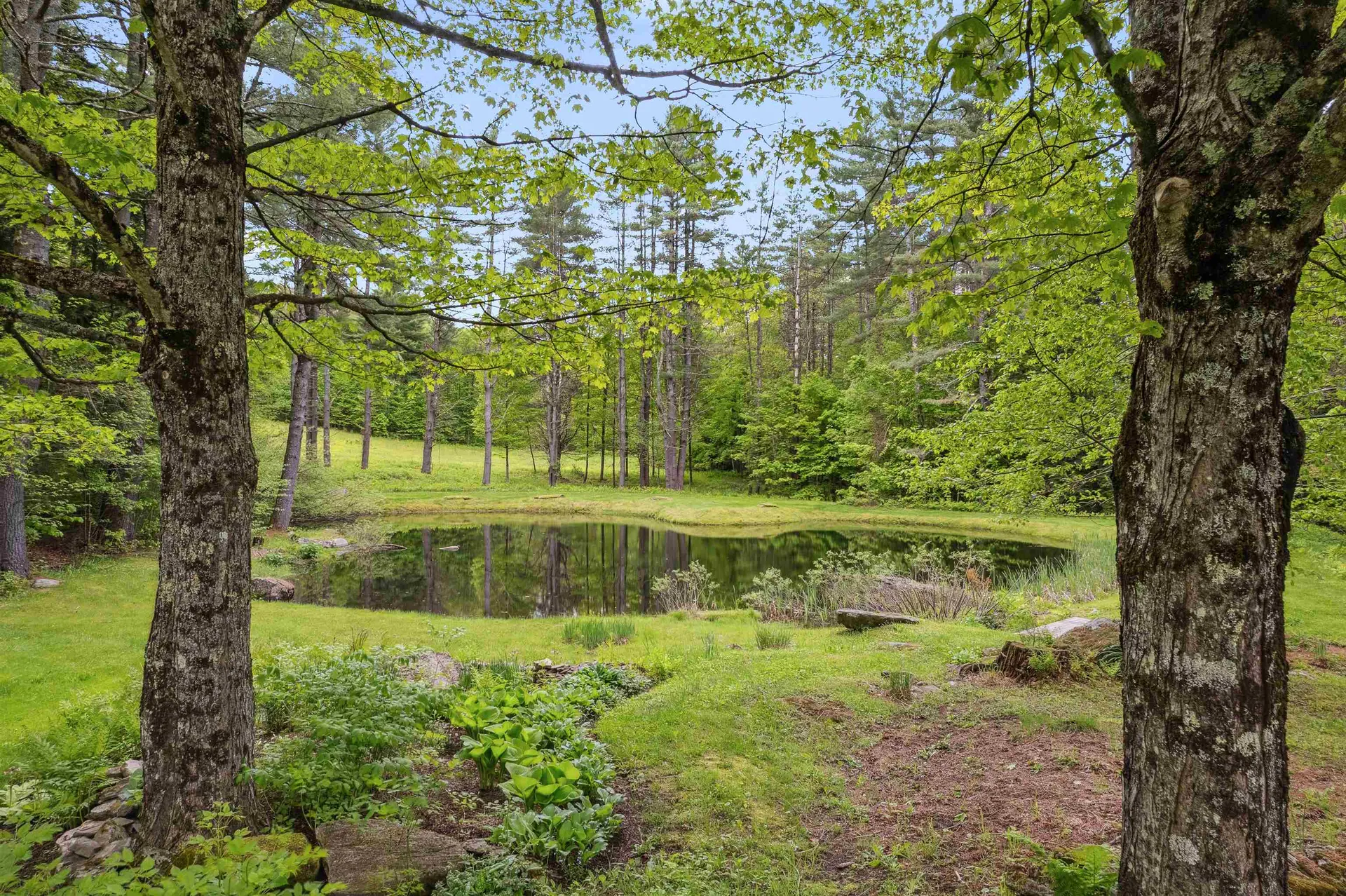 790 Rhoades Hill Barnard VT 05031