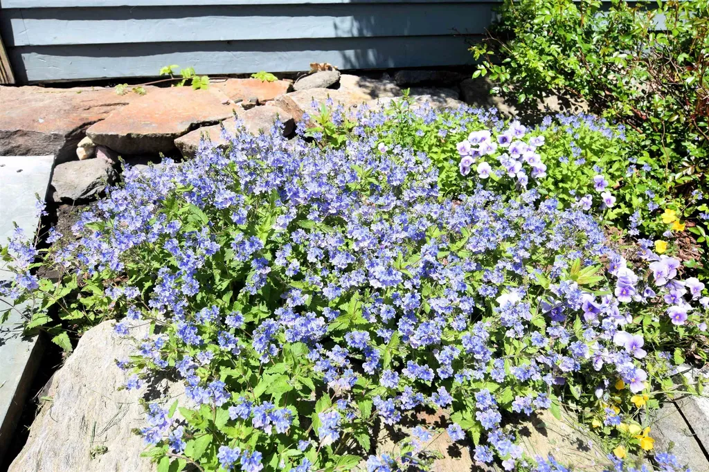 1186 Borough Road Charlestown NH 03603