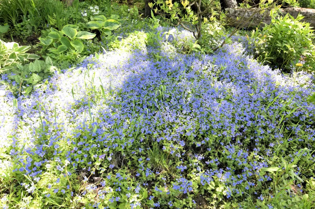 1186 Borough Road Charlestown NH 03603