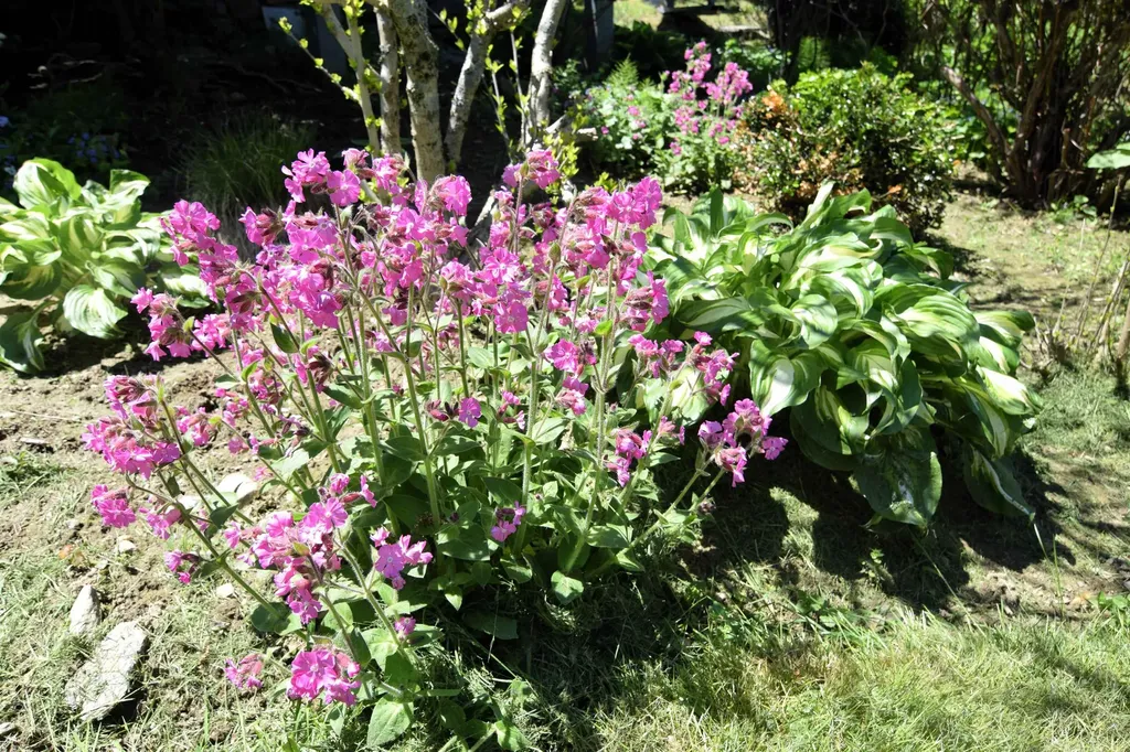 1186 Borough Road Charlestown NH 03603