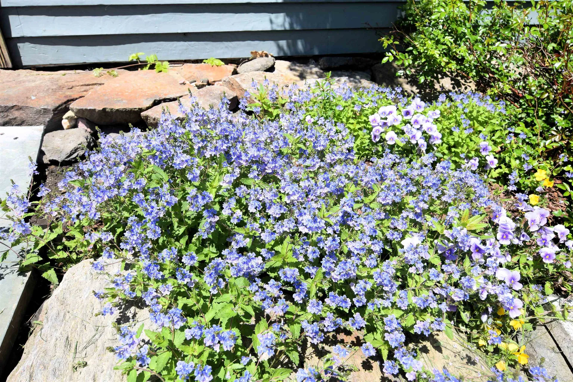 1186 Borough Road Charlestown NH 03603