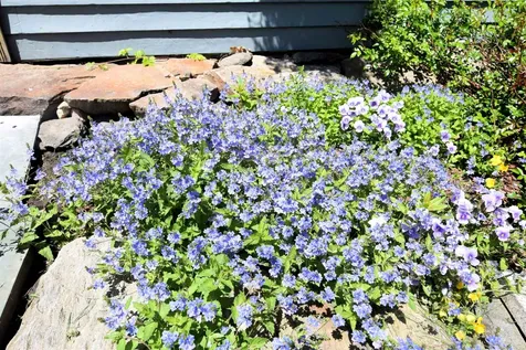 1186 Borough Road Charlestown NH 03603