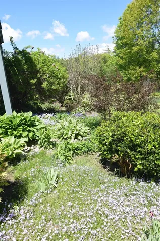 1186 Borough Road Charlestown NH 03603