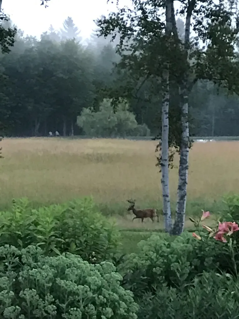 284 Amsden Road Barnard VT 05031