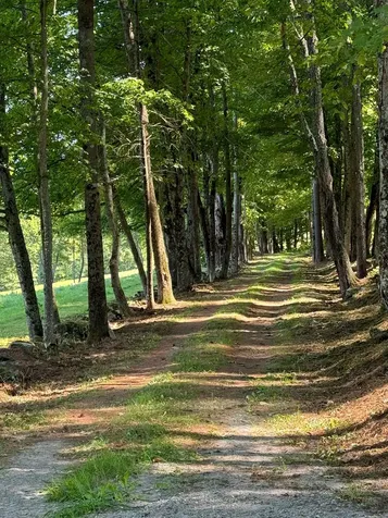 284 Amsden Road Barnard VT 05031