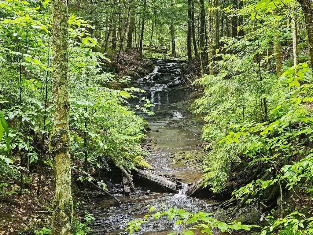 1953 Lapland Road Waterville VT 05492