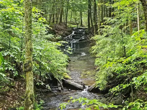 1953 Lapland Road Waterville VT 05492