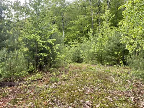 6 Buttonwood Road Holderness NH 03245