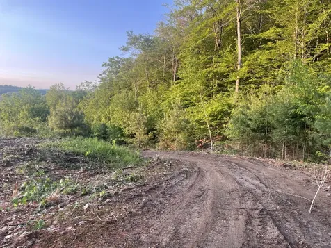 6 Buttonwood Road Holderness NH 03245