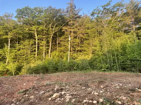6 Buttonwood Road Holderness NH 03245
