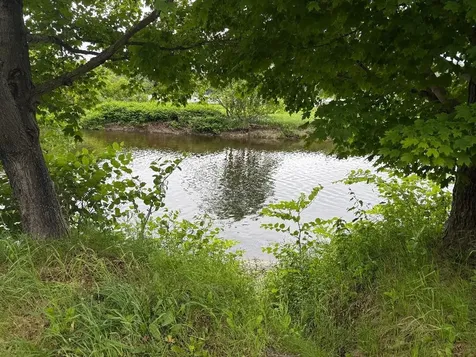 548 Bishop Road Lisbon NH 03585