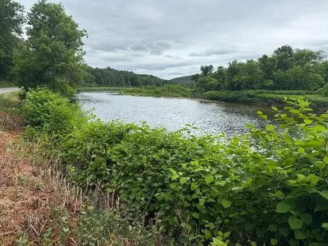 548 Bishop Road Lisbon NH 03585