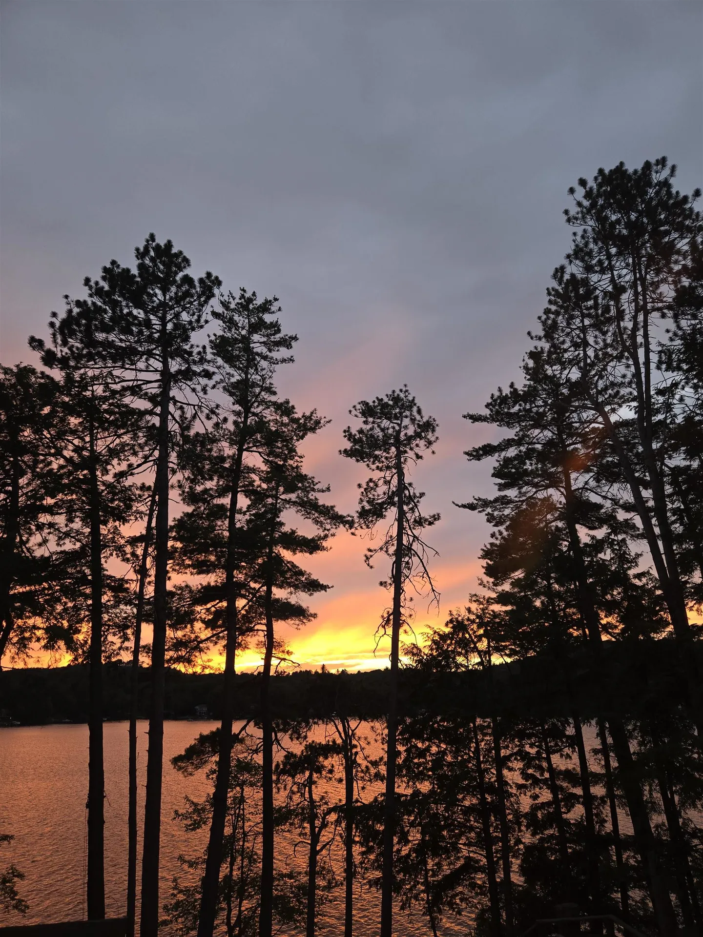 11 Quimby Road Meredith NH 03253