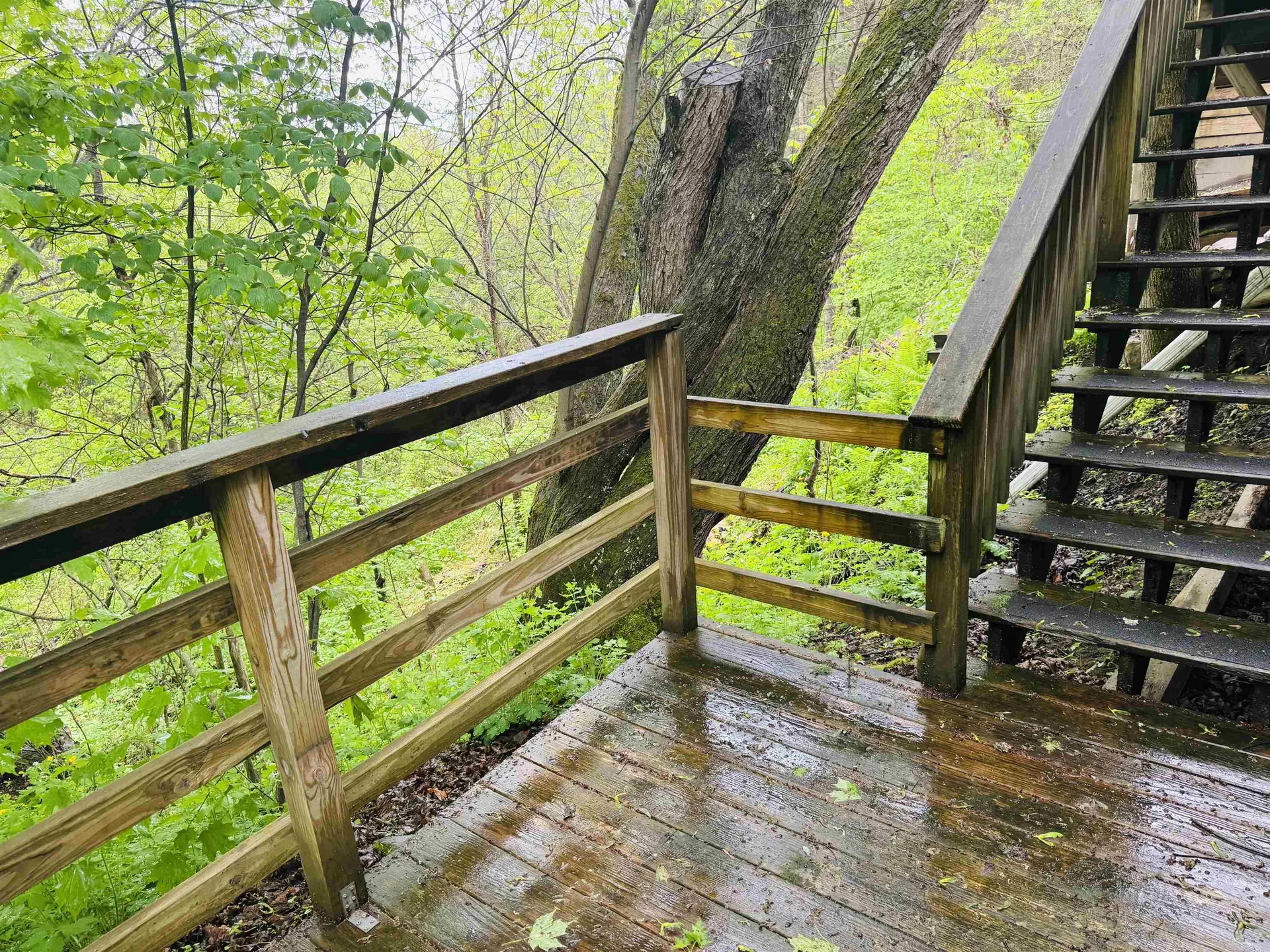 1334 Back Center Road Lyndon VT 05851