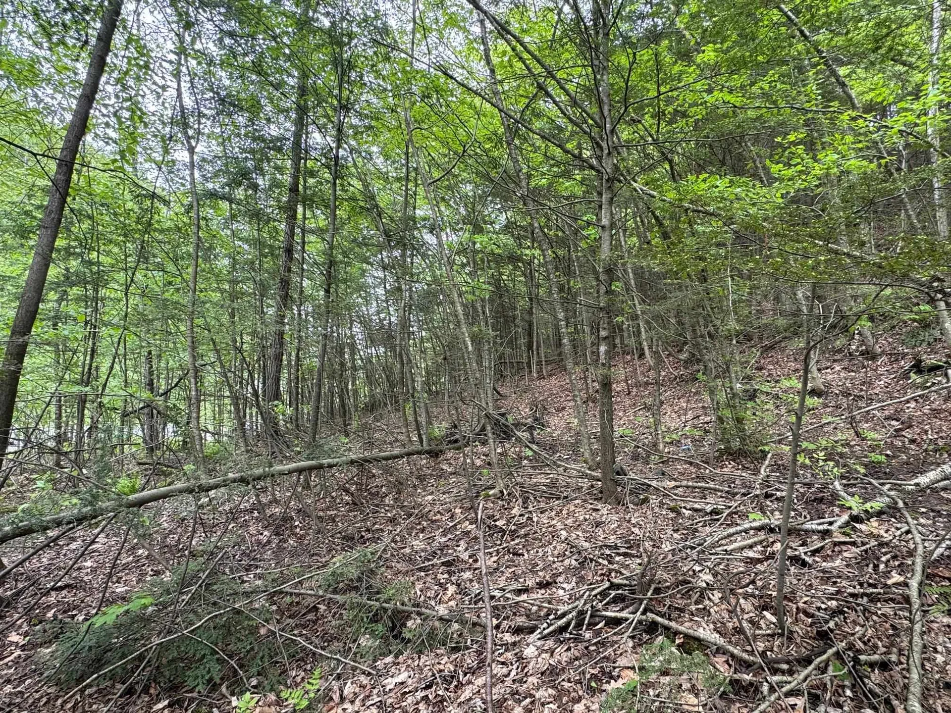 48 Northfield Street Montpelier VT 05602