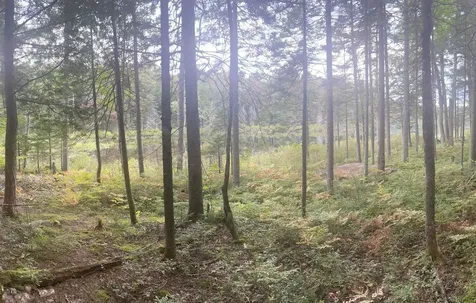 120 Halfmoon Pond Road Grafton NH 03240