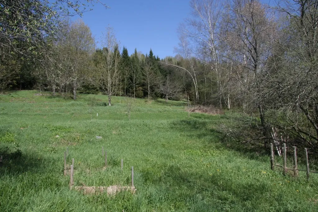 2884 Tampico Road Danville VT 05828