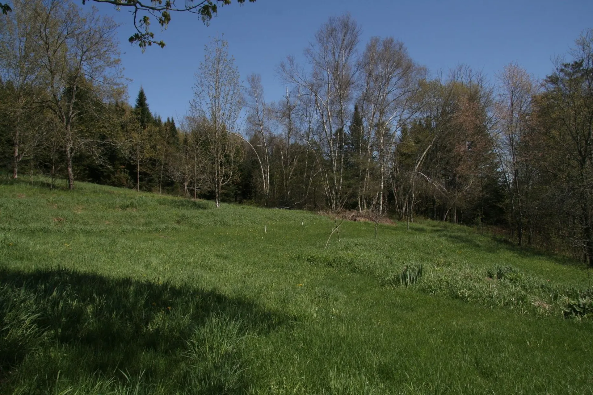 2884 Tampico Road Danville VT 05828