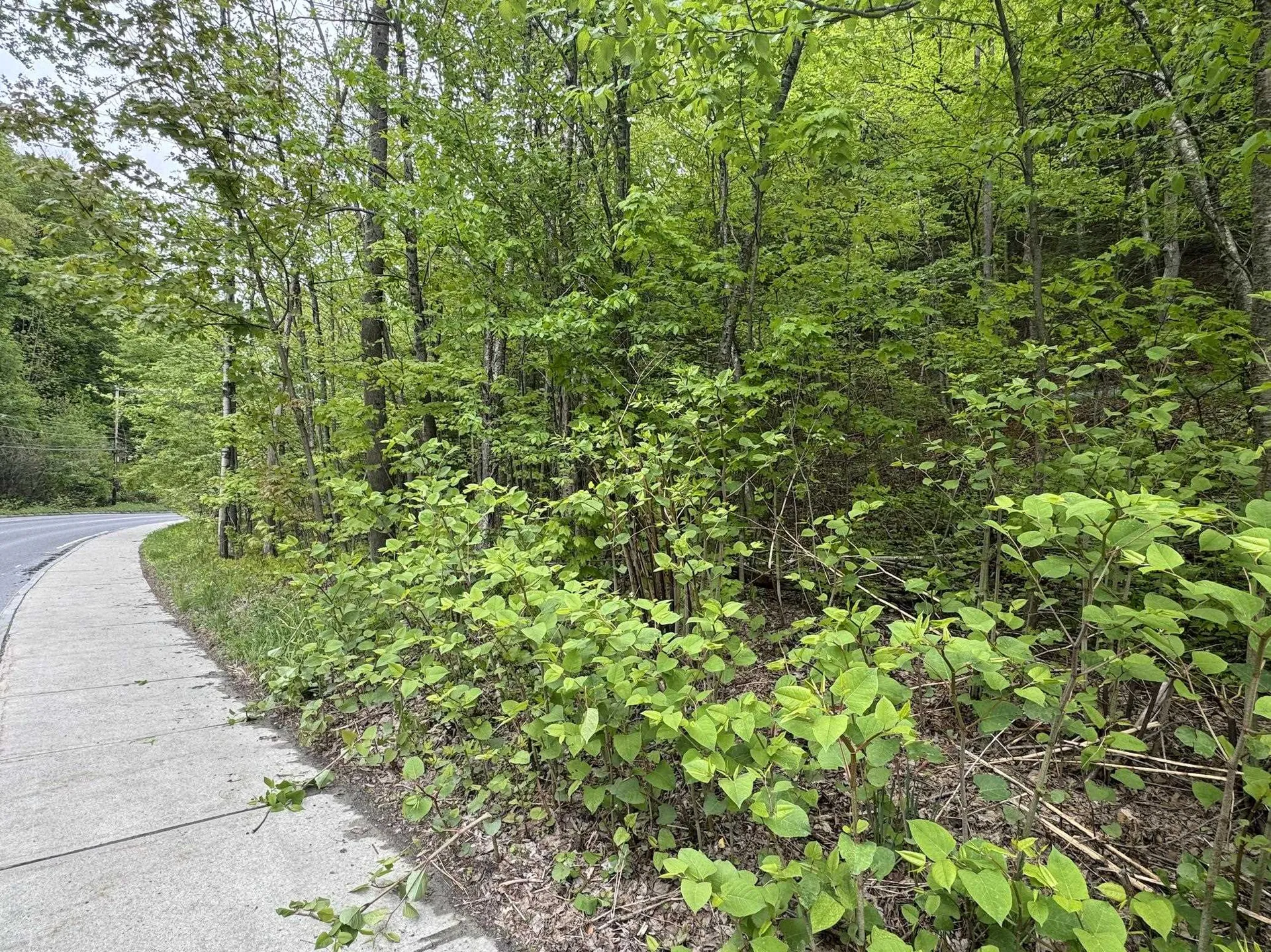 72 Northfield Street Montpelier VT 05602