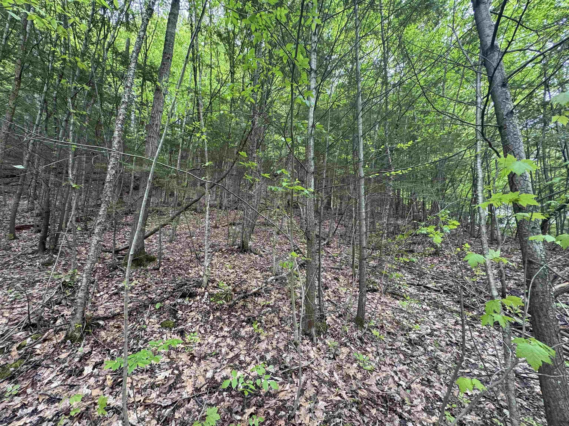 72 Northfield Street Montpelier VT 05602