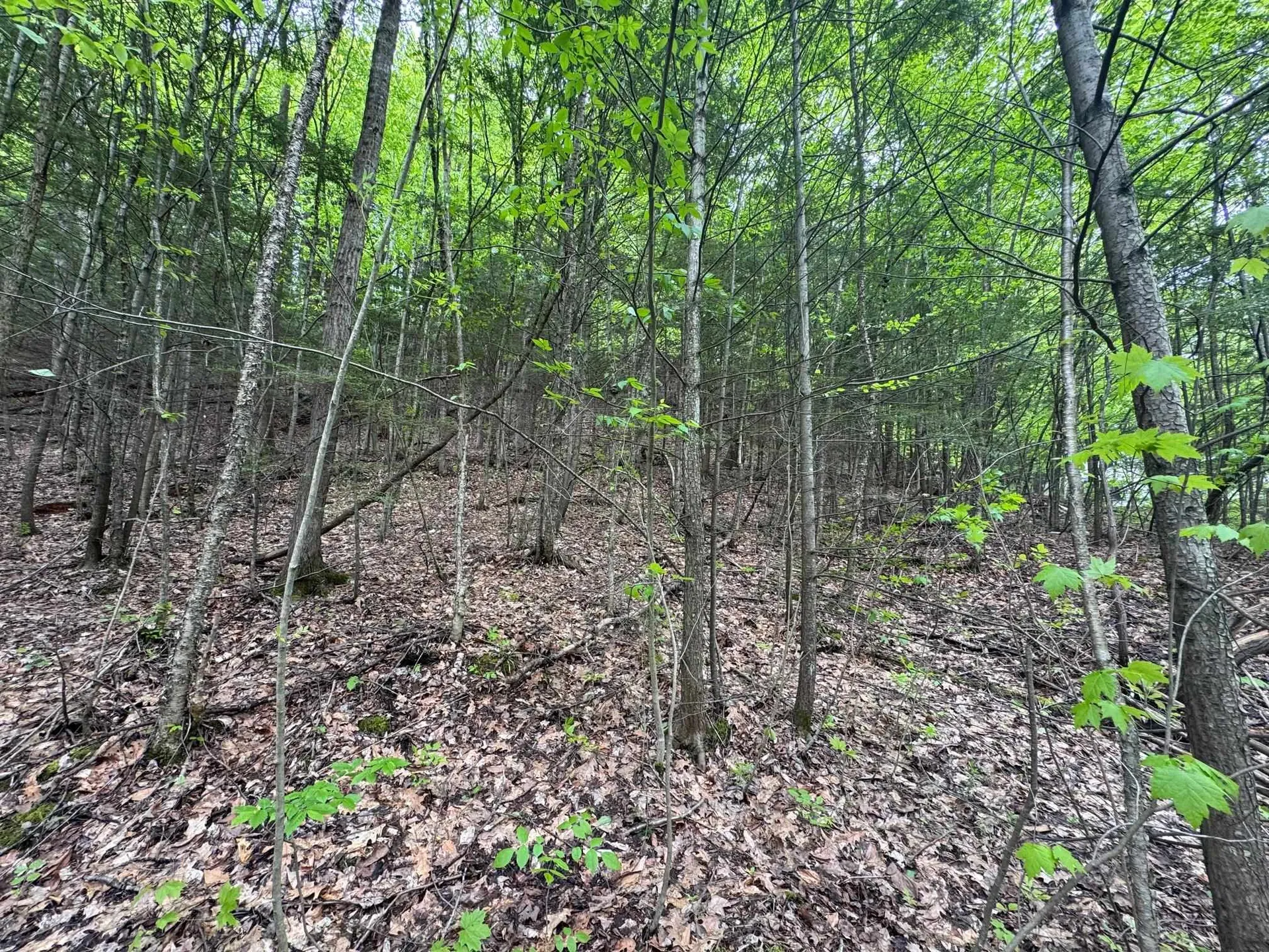 64 Northfield Street Montpelier VT 05602